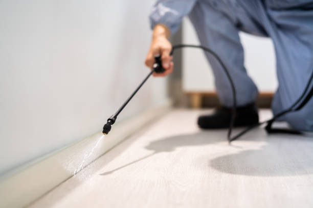 Licensed Termite Control service in Bowie, MD - Nex Pest Control