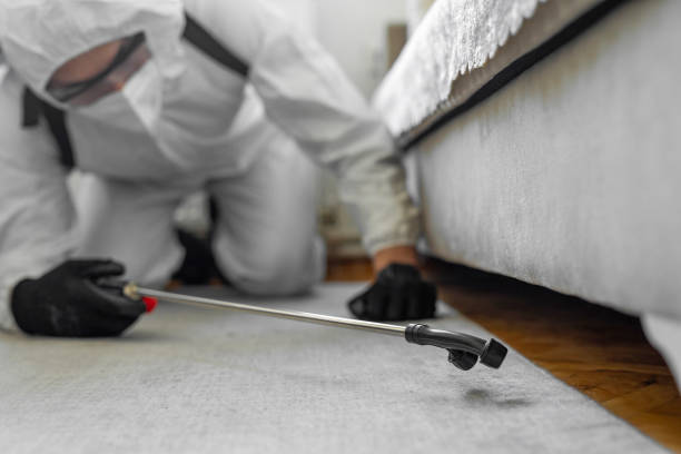 Professional Termite Control technician working in Bowie, MD