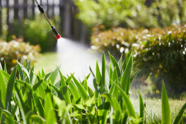 24/7 Emergency Termite Control experts in Bowie, MD