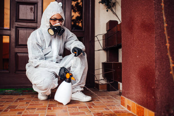 Reliable Termite Control contractor in Bowie, MD by Nex Pest Control