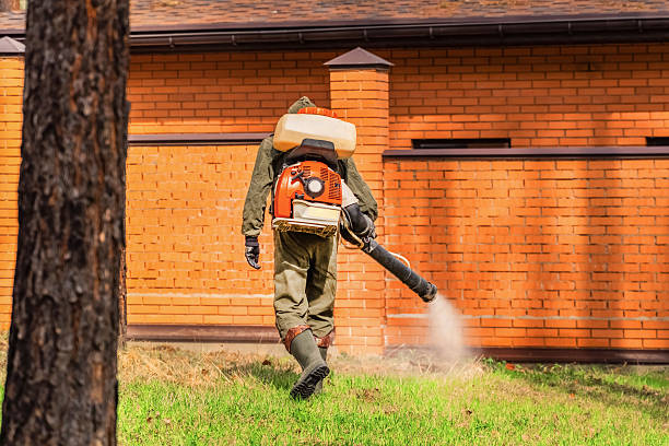 Top rated local Termite Control specialists in Bowie, MD